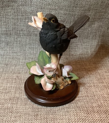 Country artists blackbird - country,