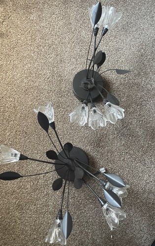 Botanical pendant lights - 2x,