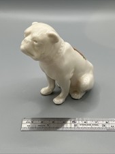 Crested China Sitting Bulldog