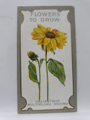 Lea cigarette card - r,