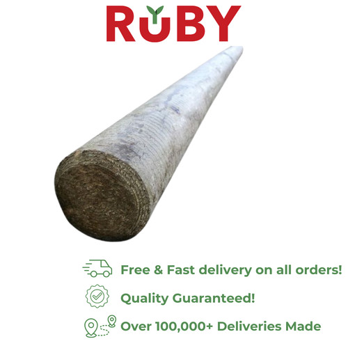 Ruby timber jump poles - timber,