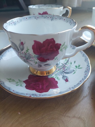 Royal stafford roses - roses, to