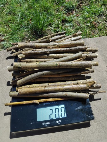 Organic white willow sticks - organic,