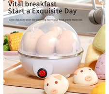 Single Layer Rapid Egg Cooker