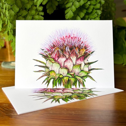 Jerusalem artichoke notecards - jerusalem,