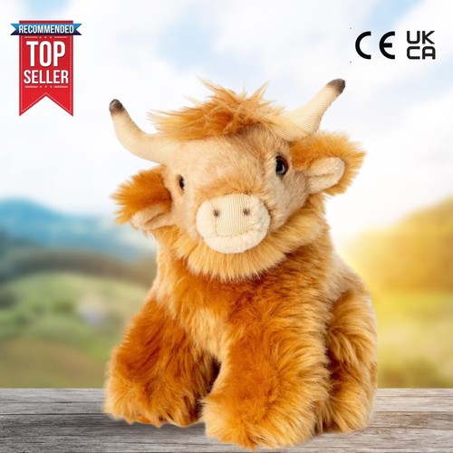 Living nature highland cow - living,