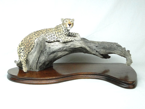 Wildtrack wildlife art - wildtrack,
