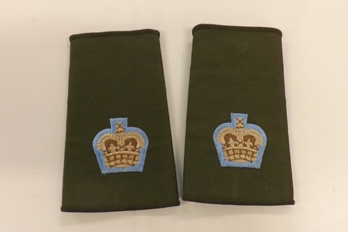 Military shoulder insignia - shoulder,