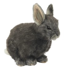 Pygmy Rabbit Grey 18cm