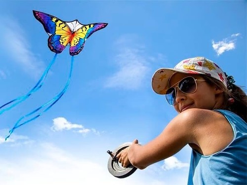 Butterfly kite 28 - 55", 28"