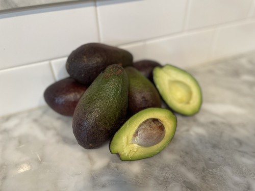 Hass avocado scion - hass,