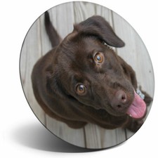 Awesome Fridge Magnet -