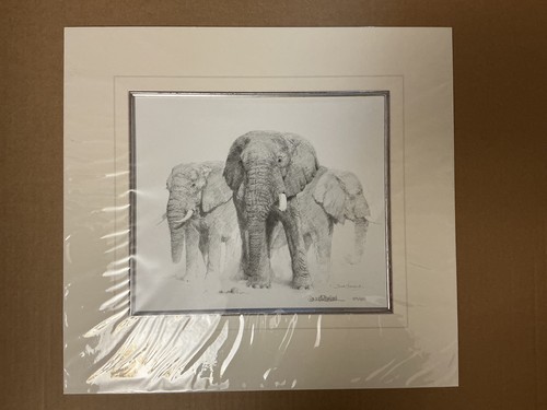 David shepherd limited edition - shepherd,