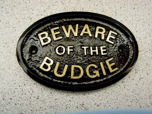 Budgie plaque sign - budgie,