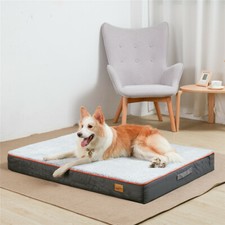 Premium Orthopedic Memory Foam