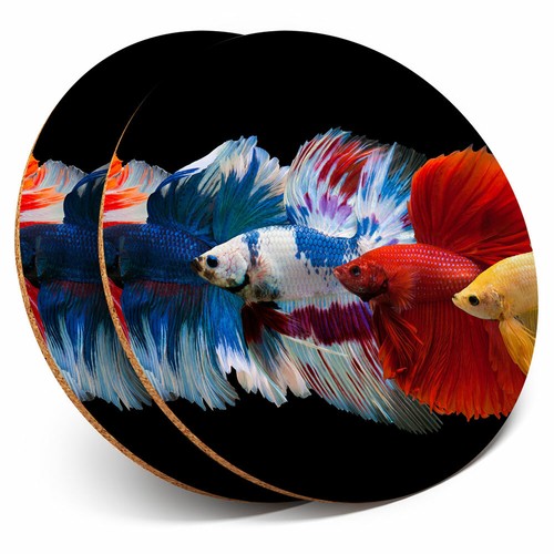 Coasters siamese - 2,