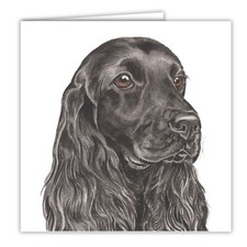 Black English Cocker Spaniel