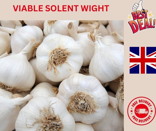50x loose garlic cloves - loose,