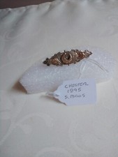 1895 Chester Sterling Silver