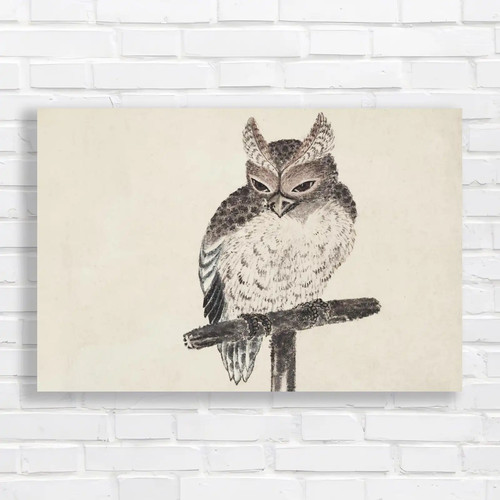 Captivating owl rustic - captivating,