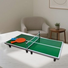 Mini Ping Pong Table Compact