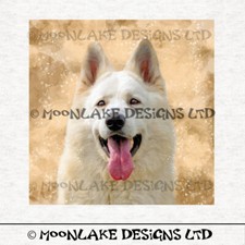 Alsatian German Shepherd -