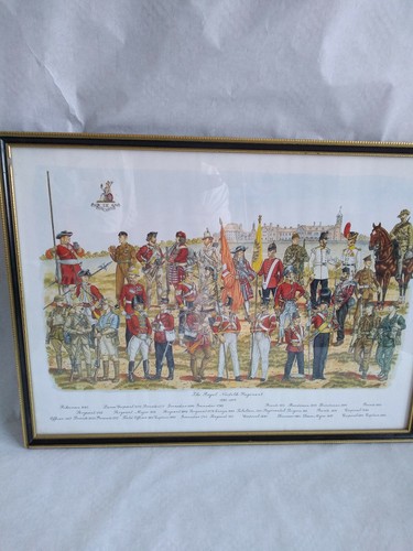 The royal norfolk regiment - royal,