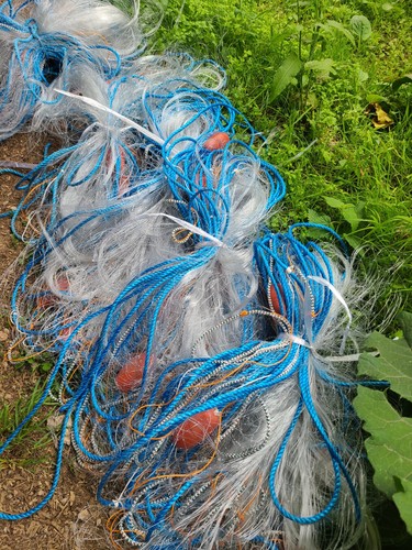 Gill net survival - gill,