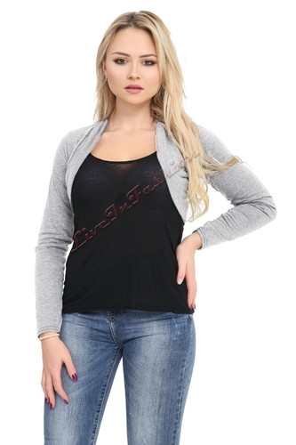 Ladies long sleeve plain - long,