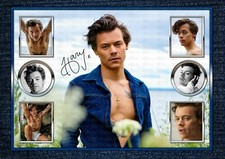 HARRY STYLES  SIGNED ORIGINAL