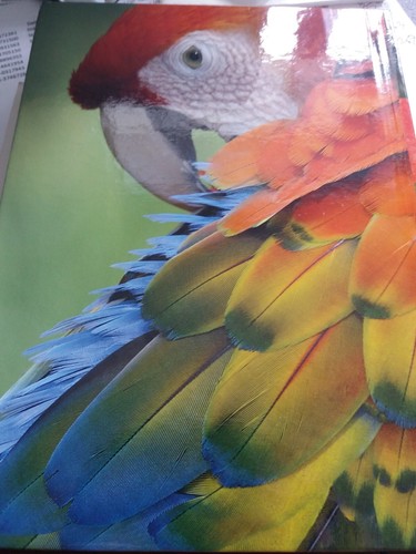 World book encyclopedia 2019 - book,