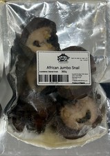 Frozen Jumbo African Giant Snail 300g (4-5 per Pack)