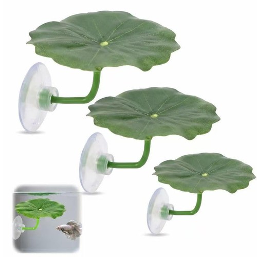Waoferfio betta hammock leaf - waoferfio,