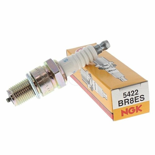 Beta evo spark plug ngk - spark,