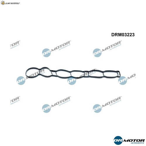 Intake manifold gasket - intake,