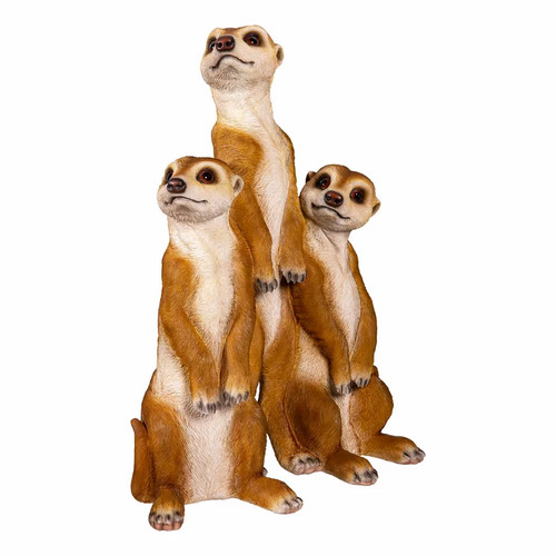 Meerkat statue garden - meerkat,