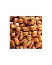 Winter Onions / Shallots / Garlic Sets 225g/450g/900g