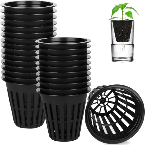 100pcs inch hydroponics - 2,