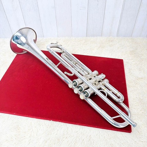 Bach vincent model - v.,