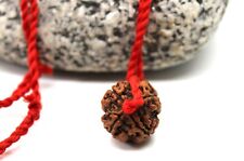 4 Mukhi Rudraksha bead pendant, 4 Mukhi Nepalese Rudraksha, Four Face Rudraksh