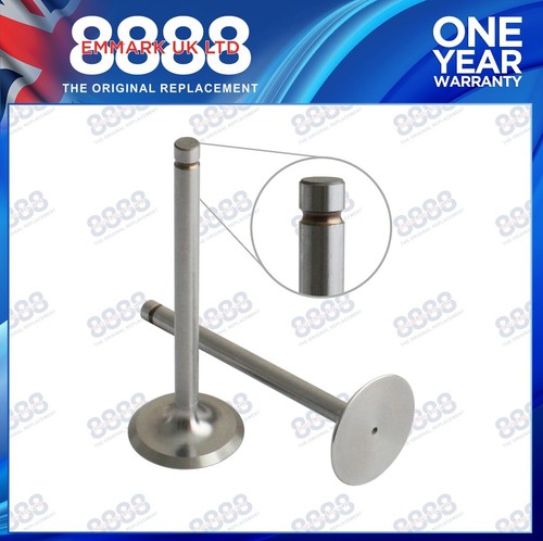 Inlet valve for - inlet,