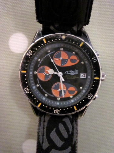 Animal w004 watch - watch, pro