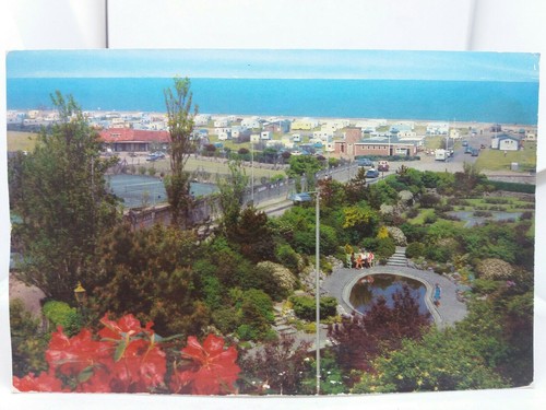 Vintage postcard north - postcard,