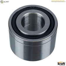 BUSH TENSIONER PULLEY LEVER