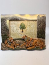 Hand Painted Big Cats 3D