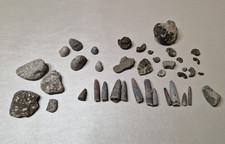 Fossil Selection From Lyme