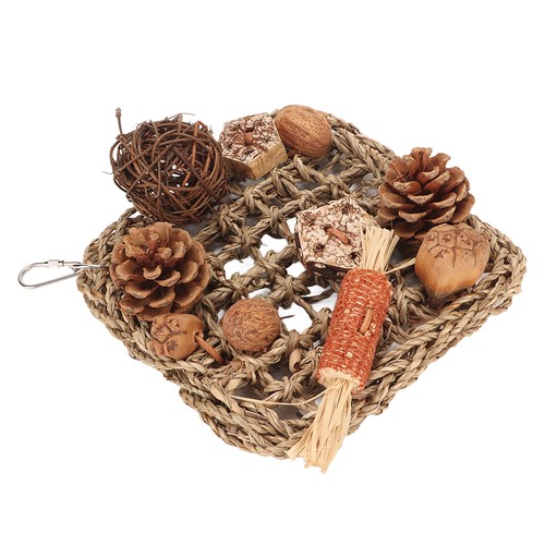 Bird climbing net easy - bird,