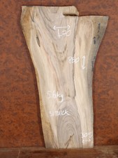 860x305-470x31mm English Walnut Live Natural/Waney Edge Slab Timber (161103)