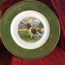 Vintage Springer Spaniel Working Dog Plate