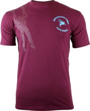 Maroon Pegasus Small Logo